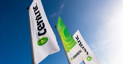 Centric flags
